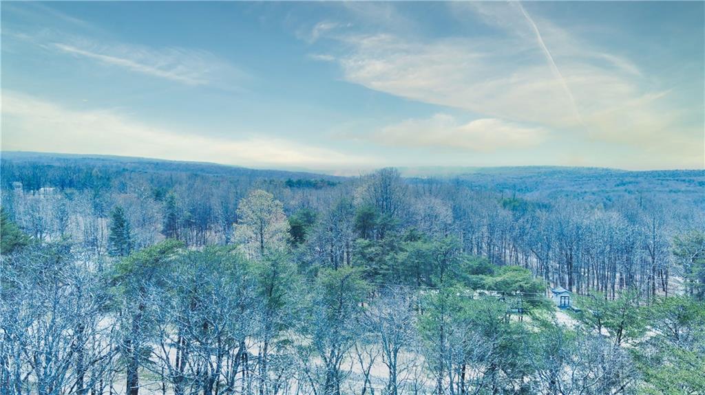 0 157th Highway Rising Fawn, GA 30738 - Photo 14 of 19