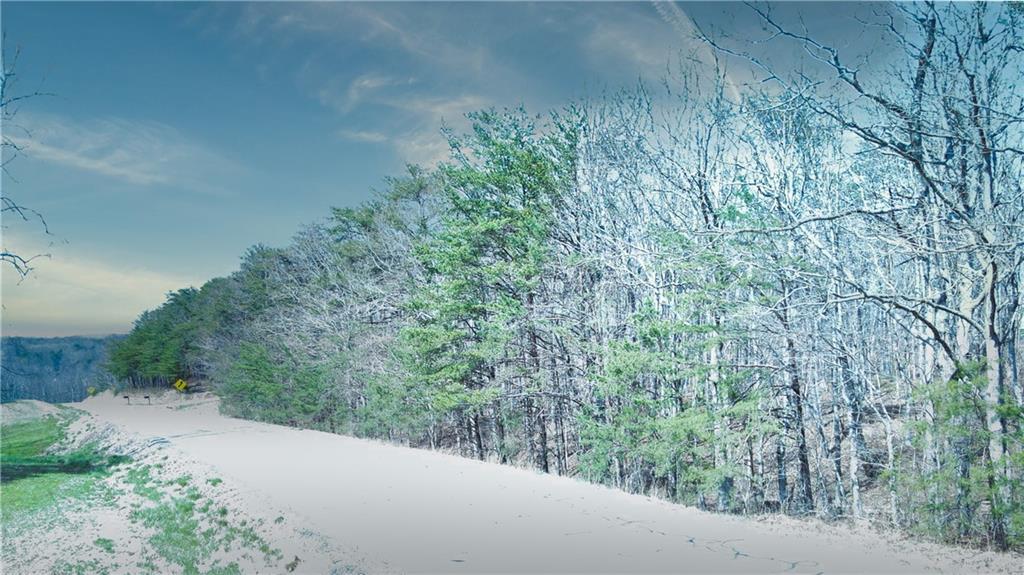 0 157th Highway Rising Fawn, GA 30738 - Photo 15 of 19