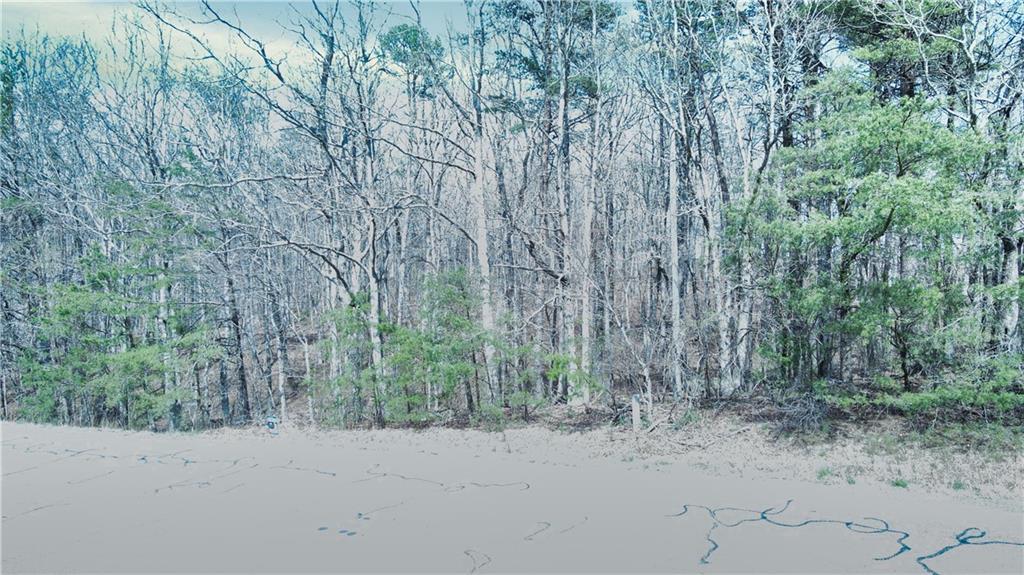 0 157th Highway Rising Fawn, GA 30738 - Photo 16 of 19