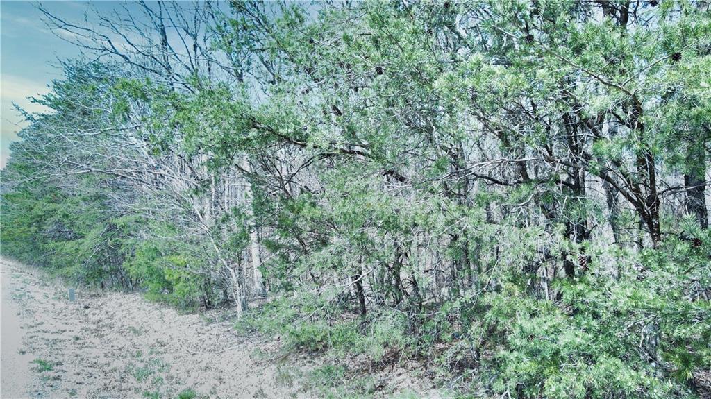 0 157th Highway Rising Fawn, GA 30738 - Photo 17 of 19