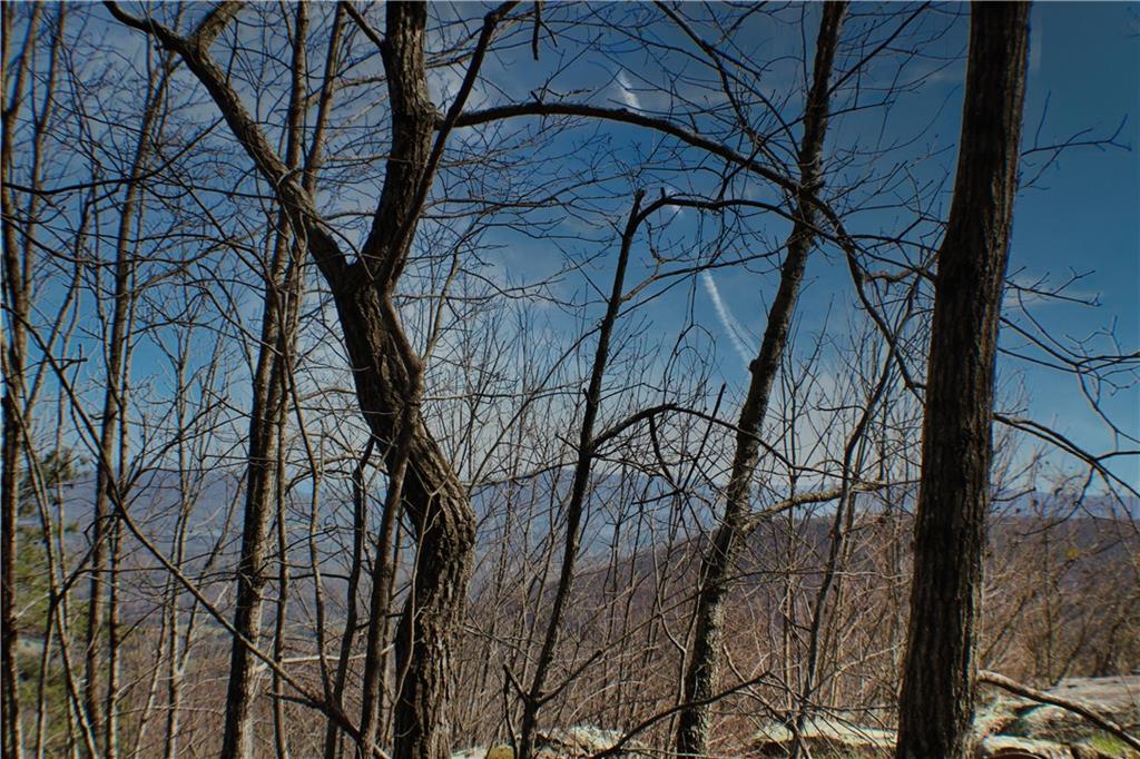 0 157th Highway Rising Fawn, GA 30738 - Photo 3 of 19