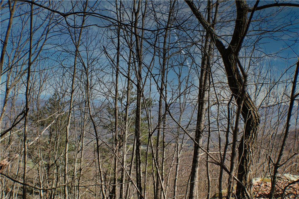 0 157th Highway Rising Fawn, GA 30738 - Photo 4 of 19