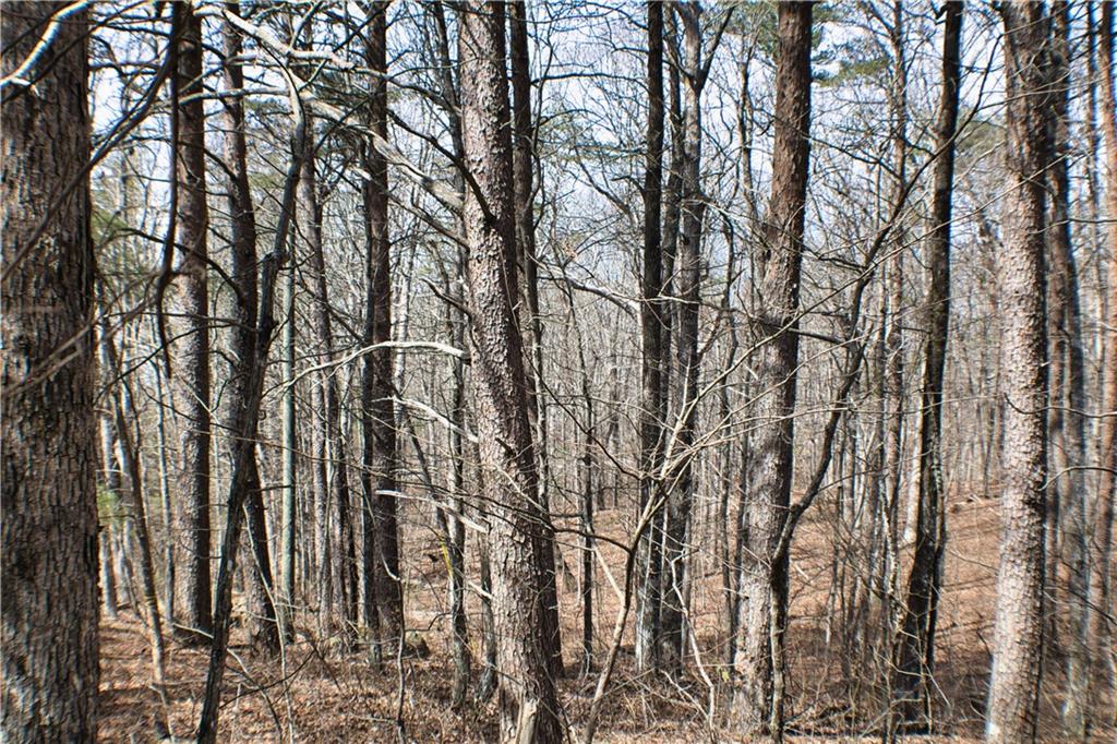 0 157th Highway Rising Fawn, GA 30738 - Photo 5 of 19