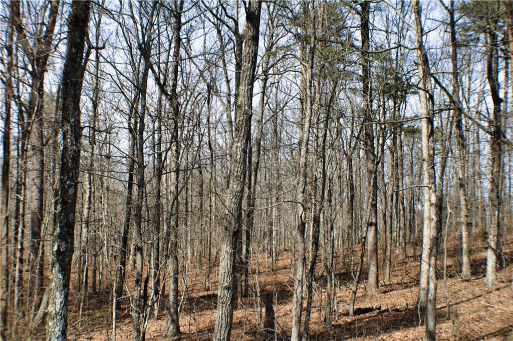 0 157th Highway Rising Fawn, GA 30738 - Photo 6 of 19