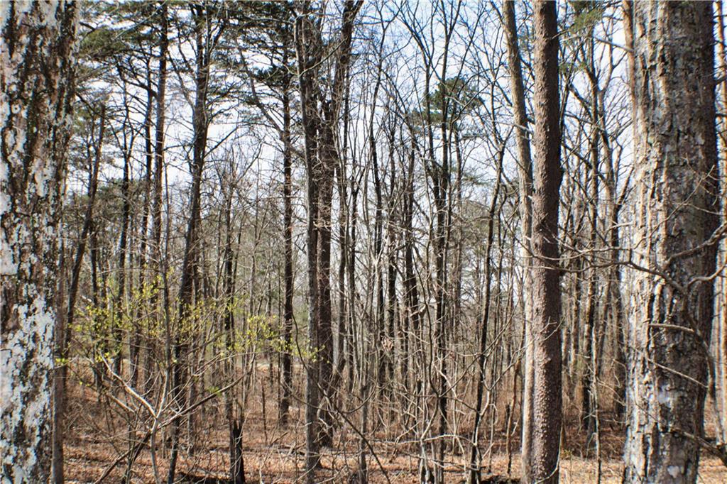 0 157th Highway Rising Fawn, GA 30738 - Photo 9 of 19