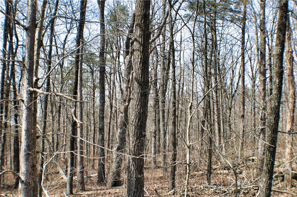 0 157th Highway Rising Fawn, GA 30738 - Photo 10 of 19