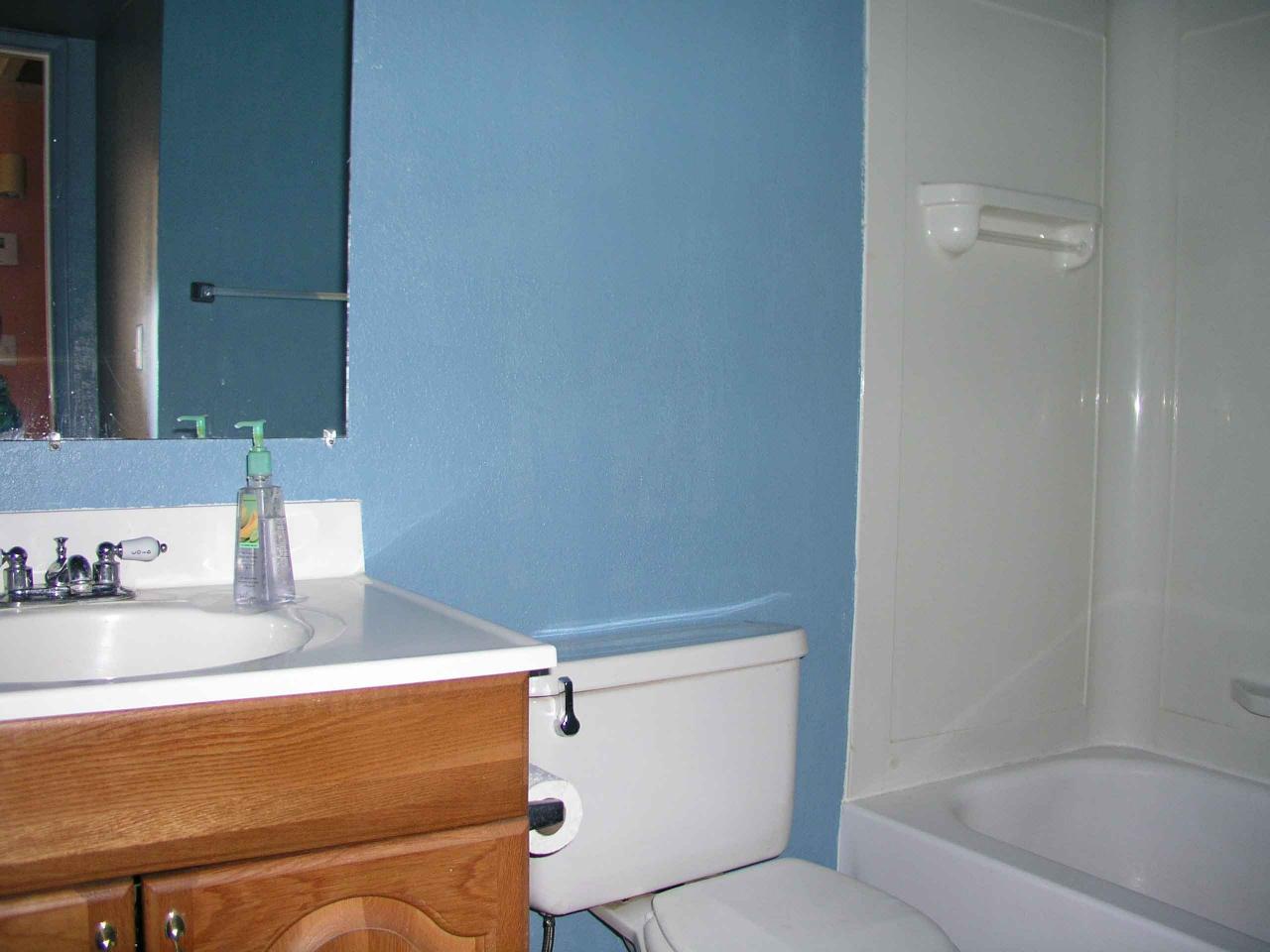 Raised panel oak cabinets in hall bath