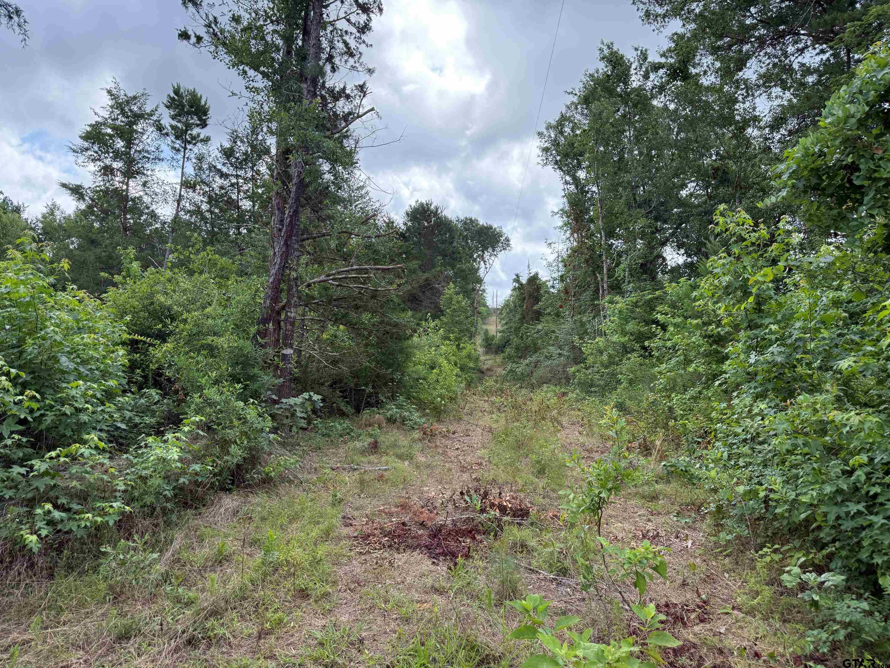 385 Tyler Tx 75708 Tyler, TX 75708 - Photo 25 of 28