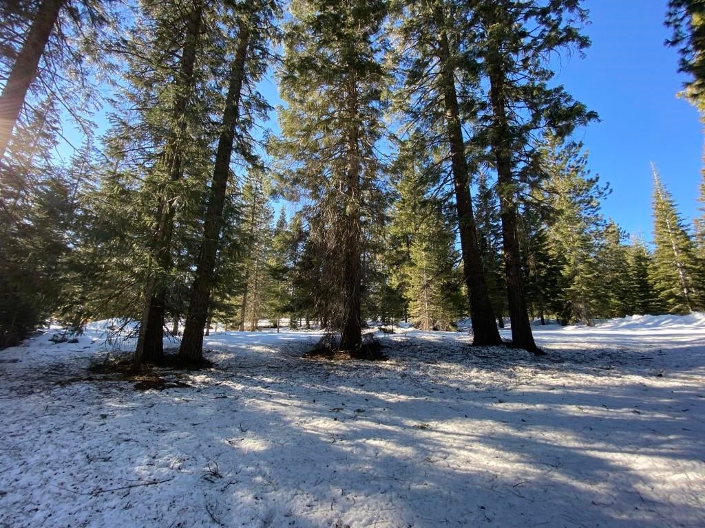4-e-25 Ridge Drive McCloud, CA 96057 - Photo 13 of 18 Gallery Image 13