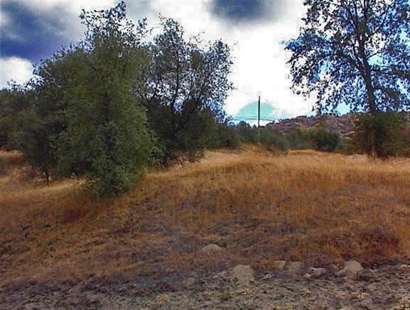 0 Sundew Road Squaw Valley, CA 93675 - Photo 3 of 7 Gallery Image 3