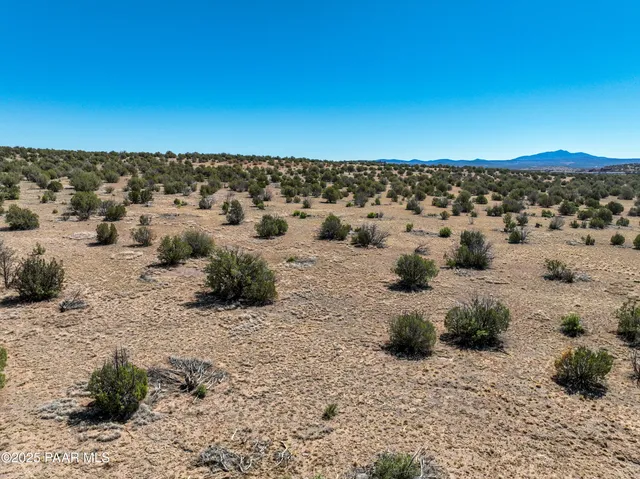 a view of a dry yard with trees