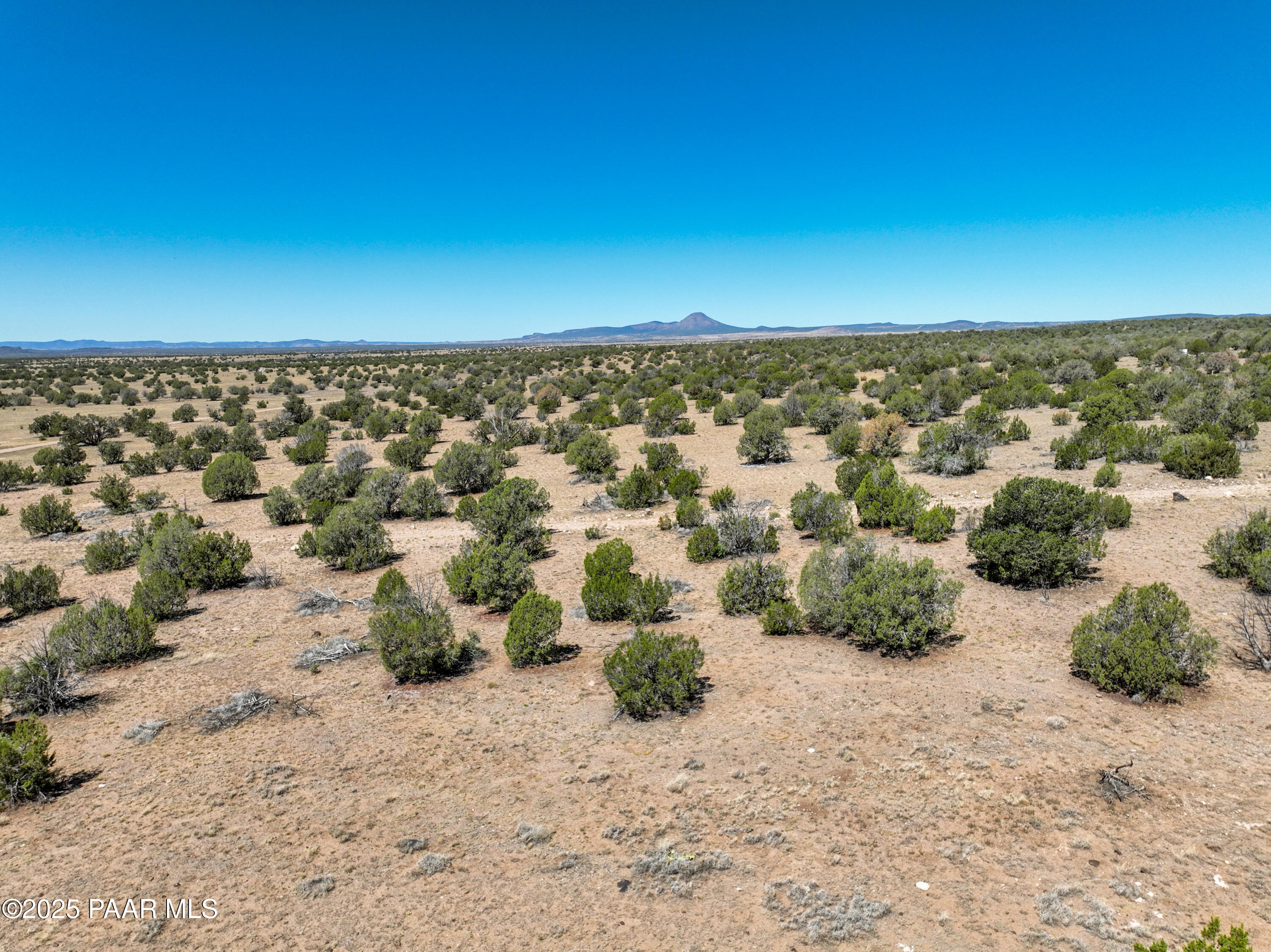0 North Angels Landing Road Ash Fork, AZ 86320 - Photo 9 of 24 a view of a dry yard with trees