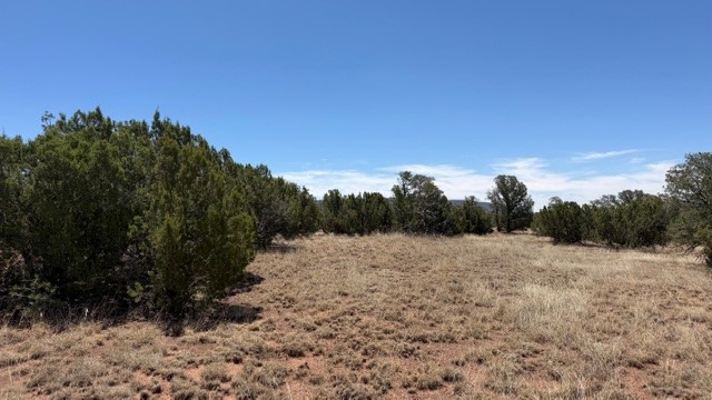 B55 Ribera Nm 87565 Ribera, NM 87560 - Photo 20 of 27