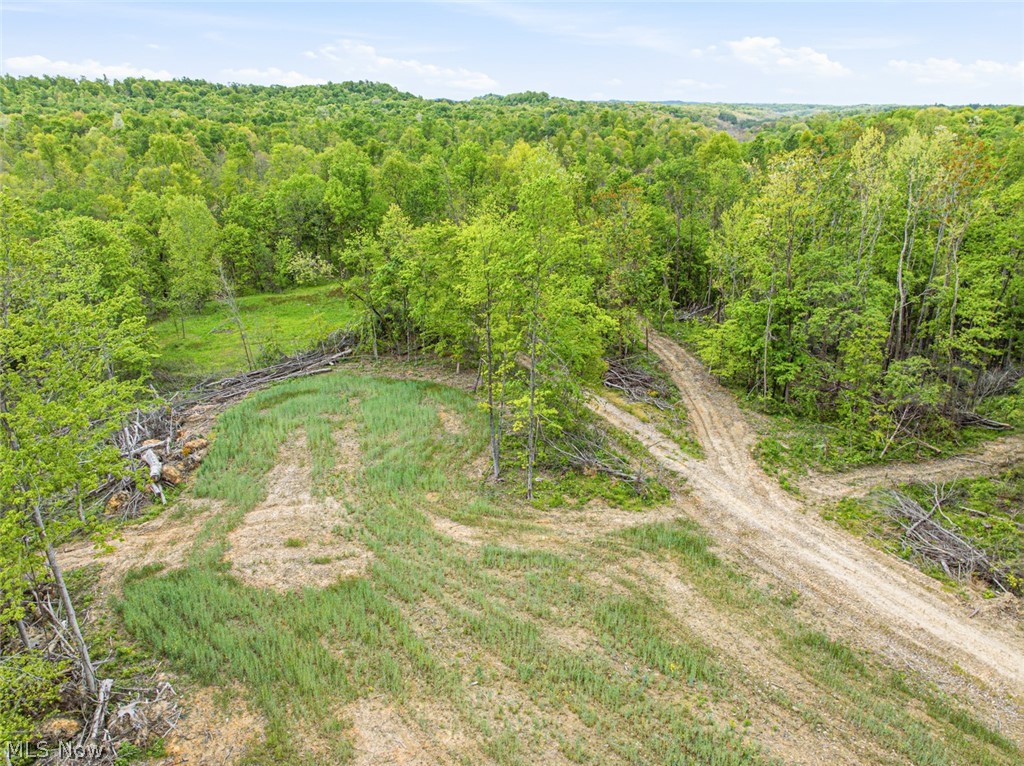 69-acres Newlon Road Malta, OH 43758 - Photo 6 of 20