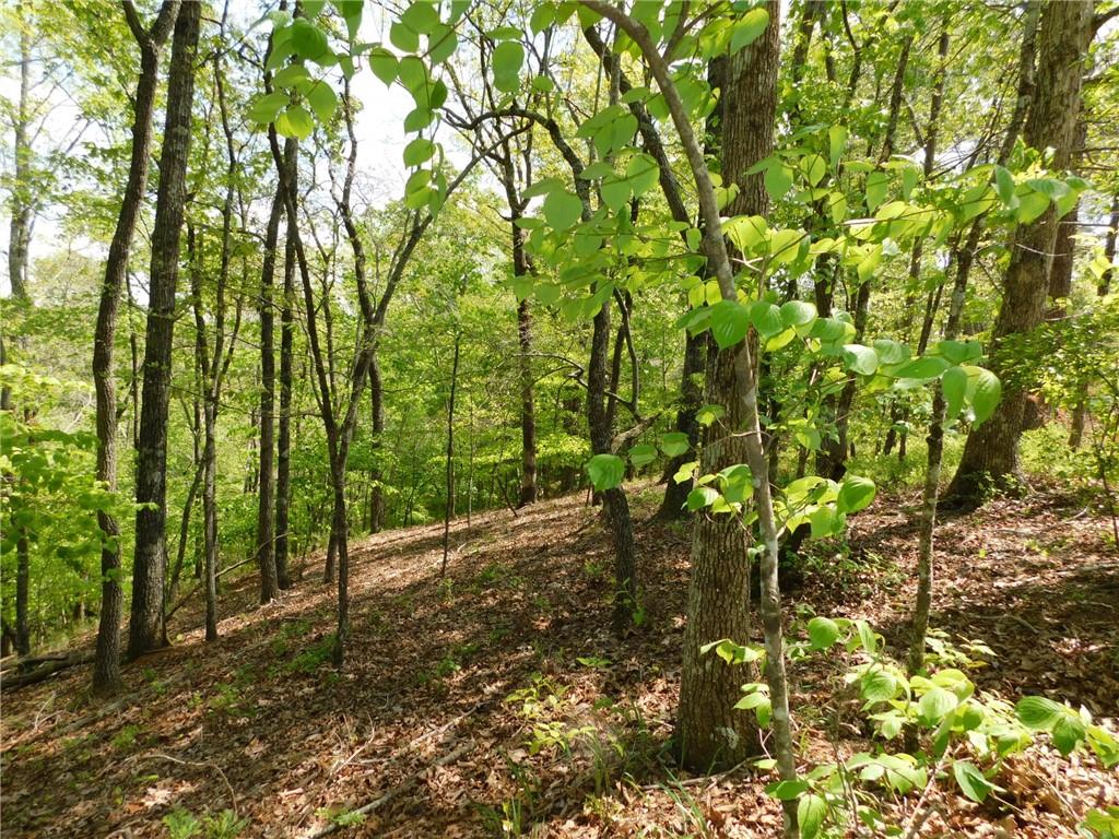 0 Robinson Ridge Dahlonega, GA 30533 - Photo 1 of 1 Gallery Image 1