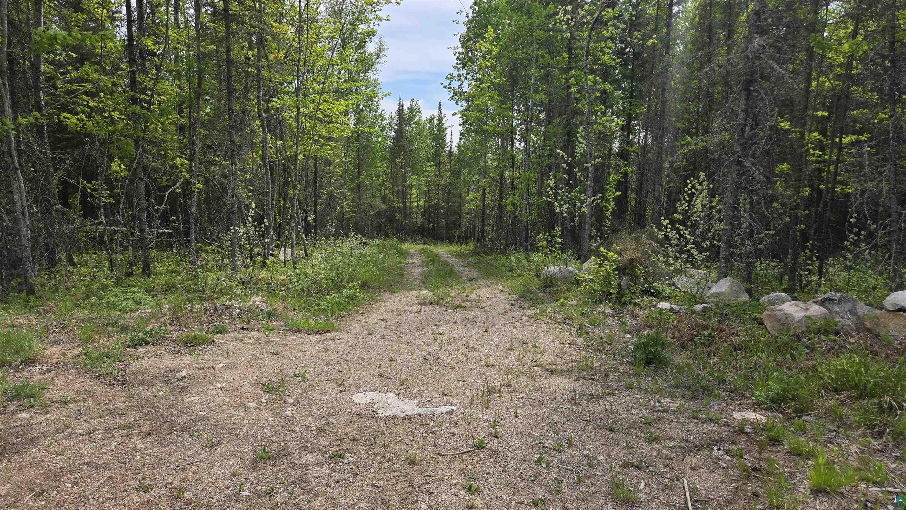 7316 Crane Lake Road Crane Lake, MN 55725 - Photo 17 of 21
