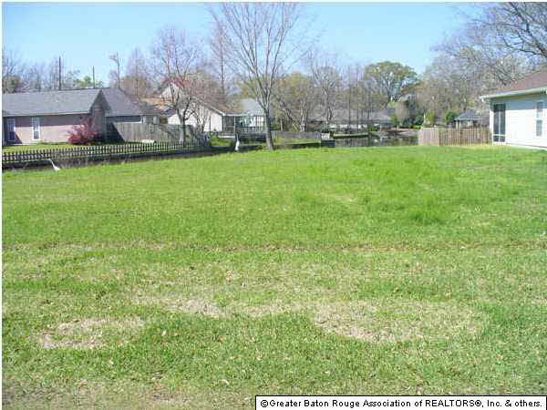 0 Ronald Road Prairieville, LA 70769 - Photo 2 of 2 Gallery Image 2
