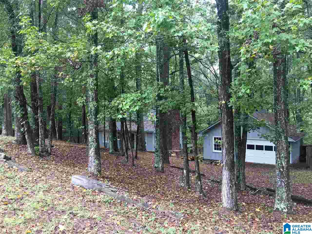 839 Rainwood Lodge Road Quinton, AL 35130 - Photo 3 of 13
