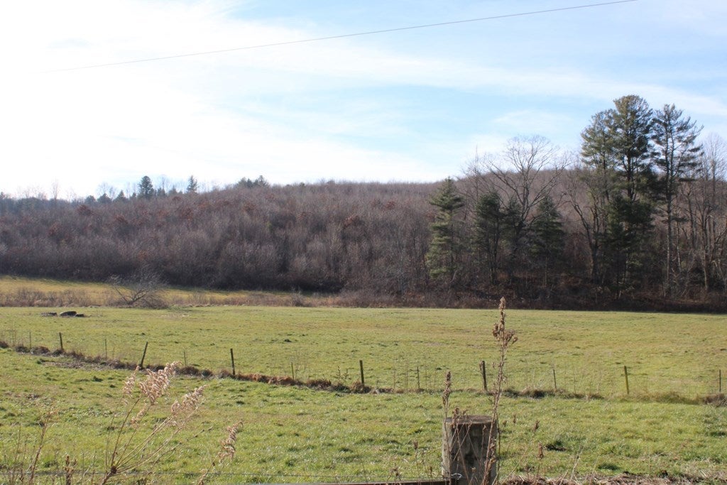 Tbd Greenberry Road, Unit 11 Fancy Gap, VA 24328 - Photo 3 of 17 Gallery Image 3