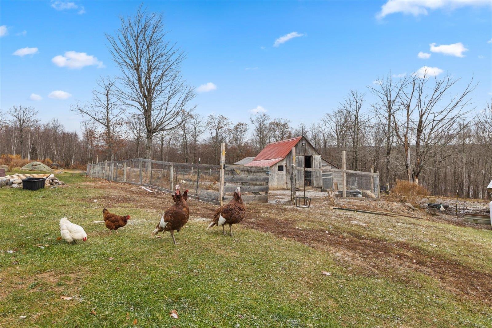 67 Lang Road Washington, NH 03280 - Photo 50 of 59