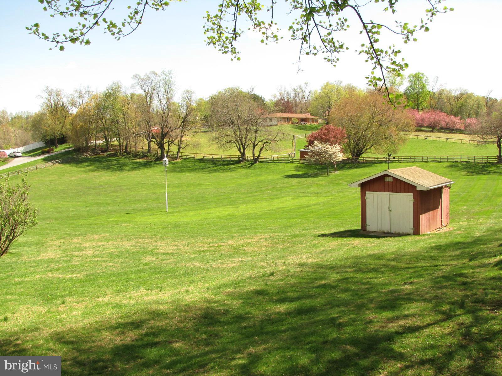 14013 Blenheim Road North Phoenix, MD 21131 - Photo 7 of 30 View of Yard Acreage/Pasture. 4 Acre lot
