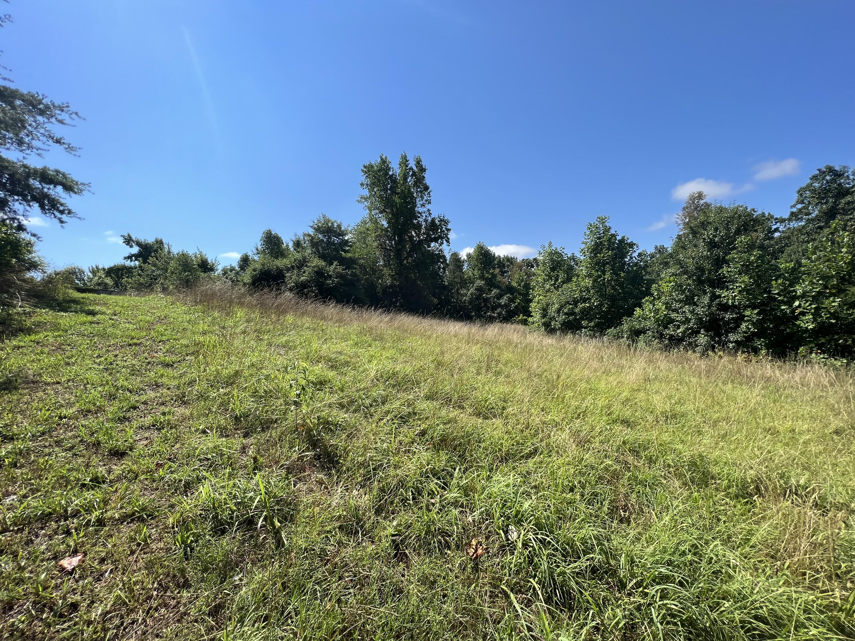 290 Morris Cemetery Road West Liberty, KY 41472 - Photo 18 of 25 Photo Jul 11, 11 18 38 AM