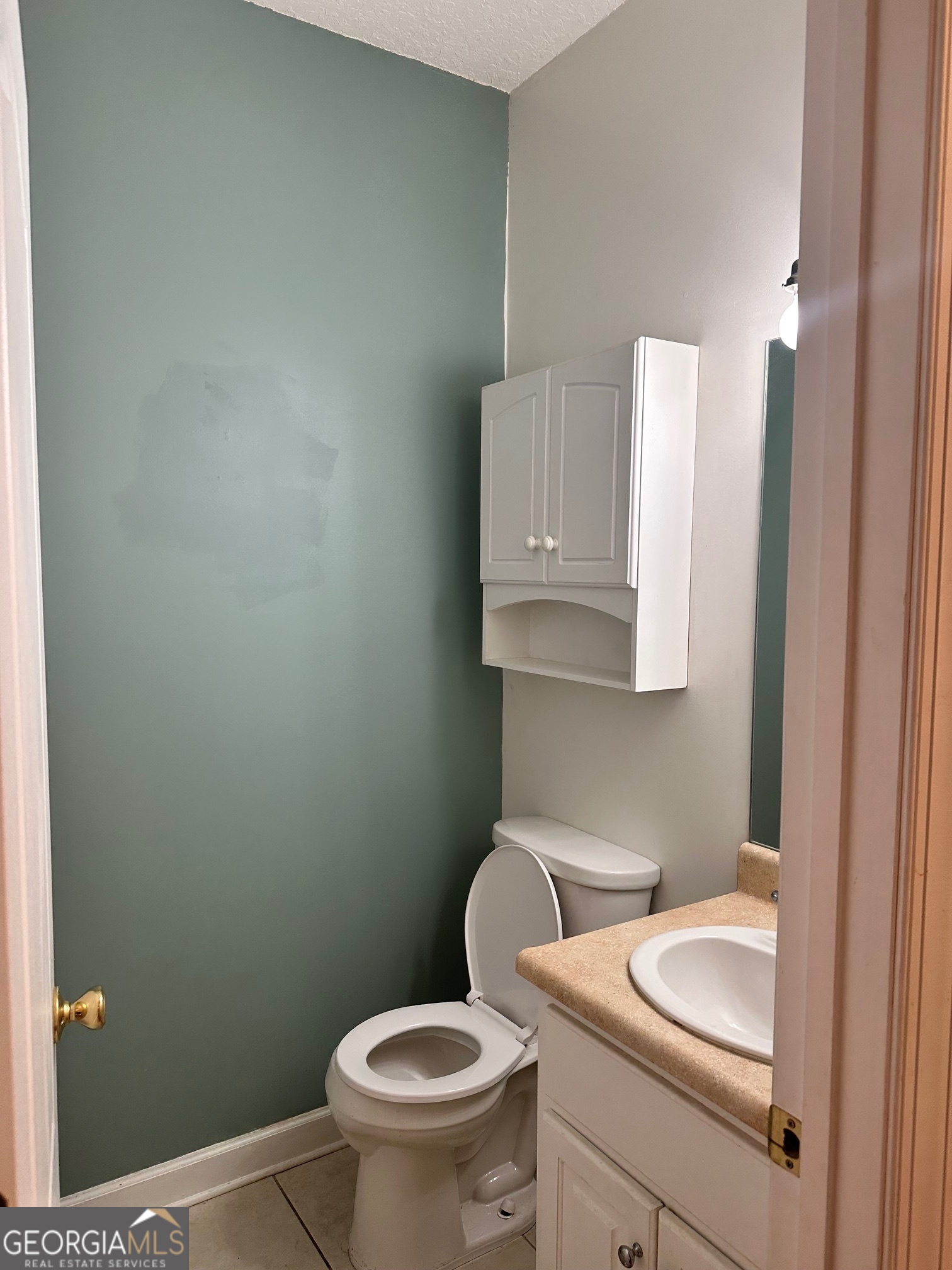 605 Patrick Way Statesboro, GA 30458 - Photo 33 of 43