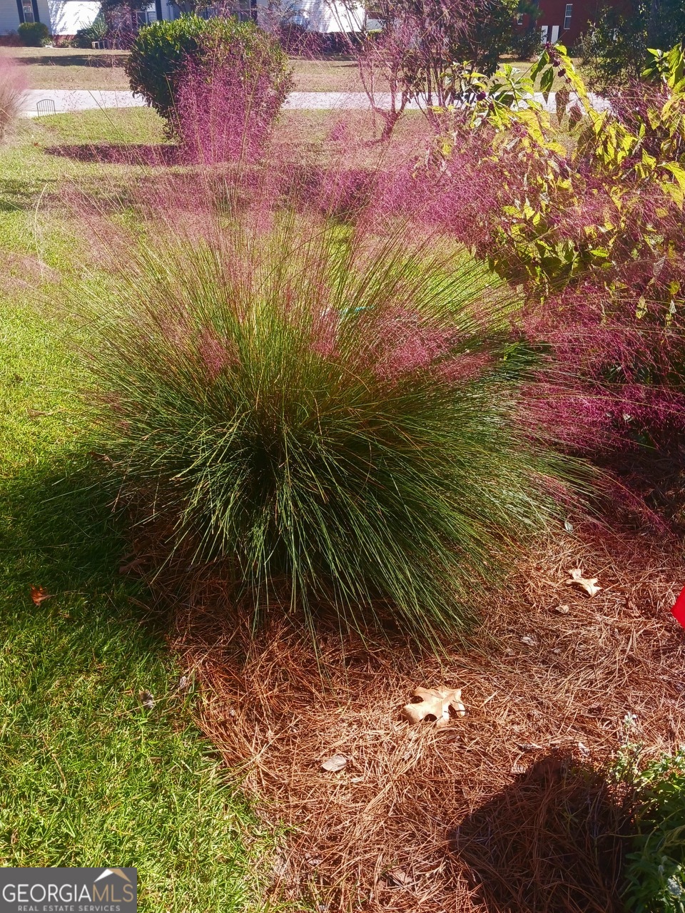 605 Patrick Way Statesboro, GA 30458 - Photo 35 of 43