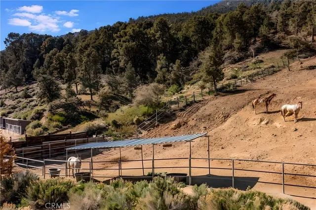 a view of a lake with a city