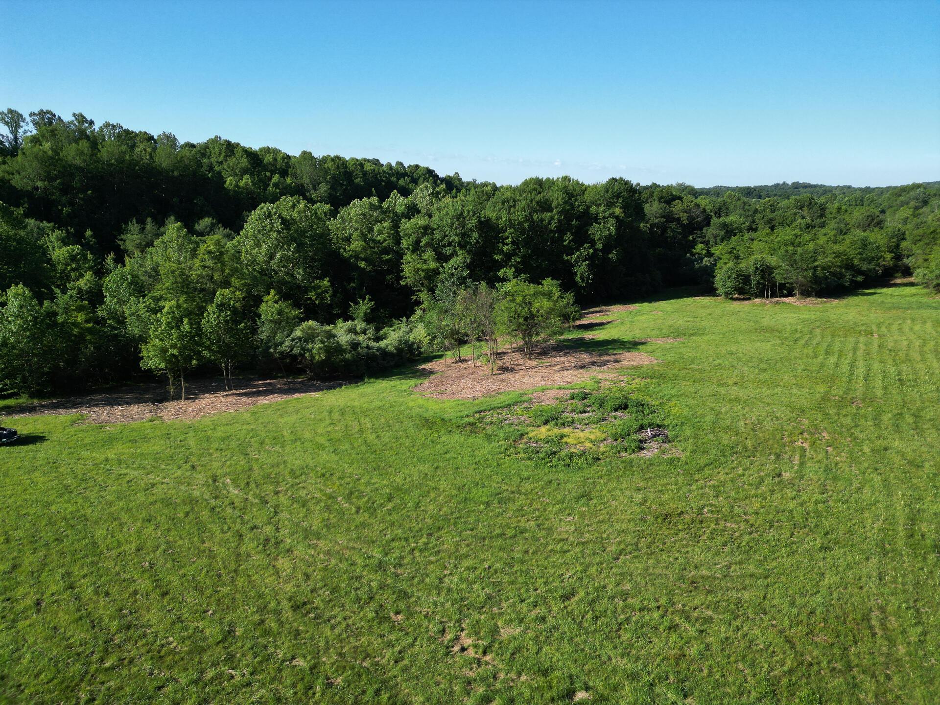0 Sand Ridge Road, Unit ALBANY HIDEAWAY TRACT 2) Albany, OH 45710 - Photo 16 of 16