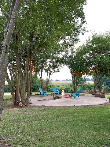 3365 Hermann Road Lee, IL 60530 - Photo 39 of 63 a view of outdoor space with green space