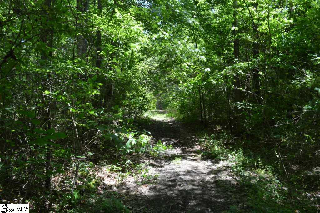 Rainey Road Greenville, SC 29609 - Photo 2 of 17
