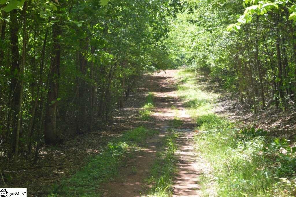 Rainey Road Greenville, SC 29609 - Photo 13 of 17