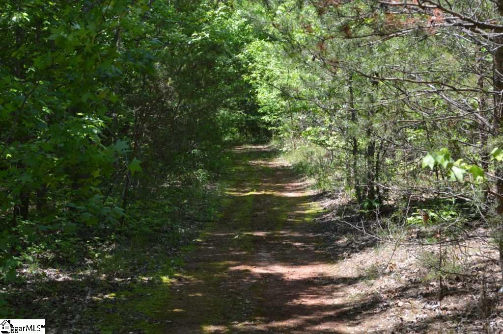 Rainey Road Greenville, SC 29609 - Photo 14 of 17