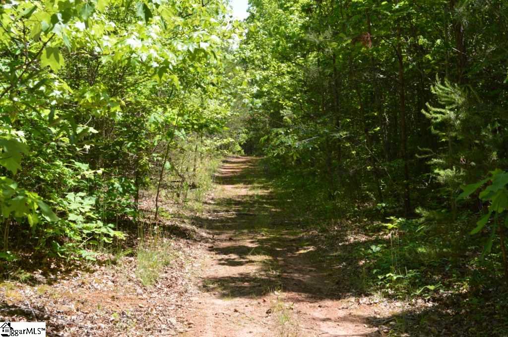 Rainey Road Greenville, SC 29609 - Photo 3 of 17