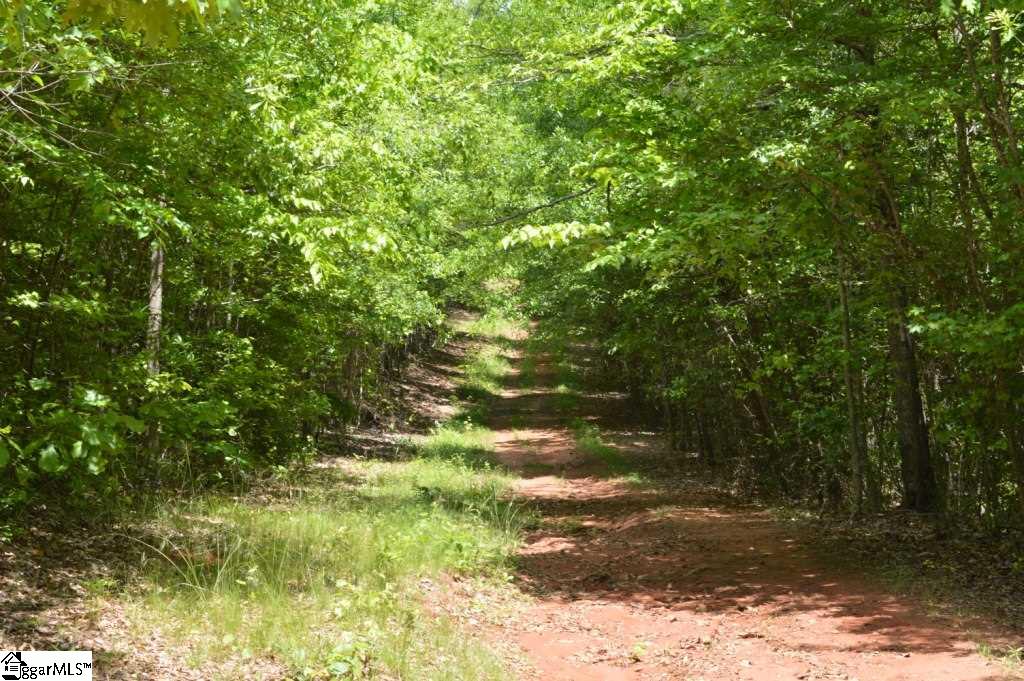 Rainey Road Greenville, SC 29609 - Photo 5 of 17