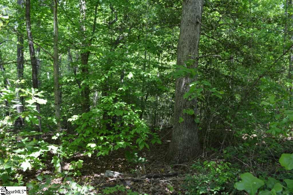 Rainey Road Greenville, SC 29609 - Photo 7 of 17