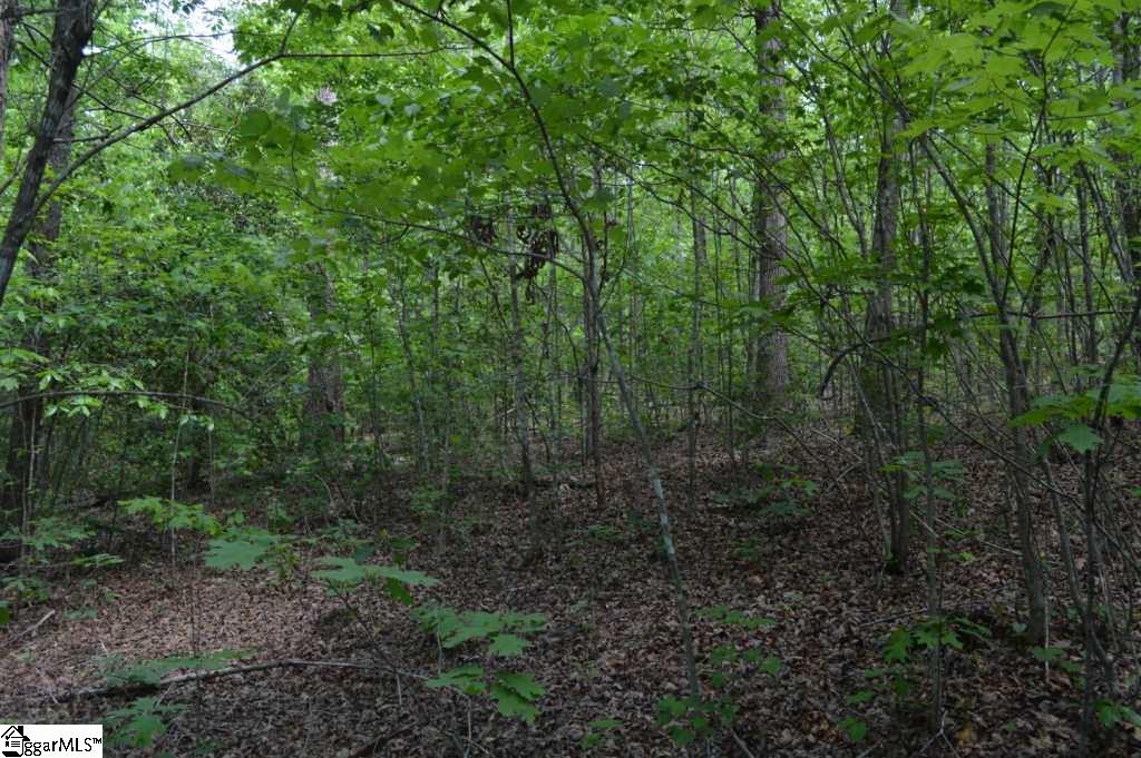 Rainey Road Greenville, SC 29609 - Photo 9 of 17