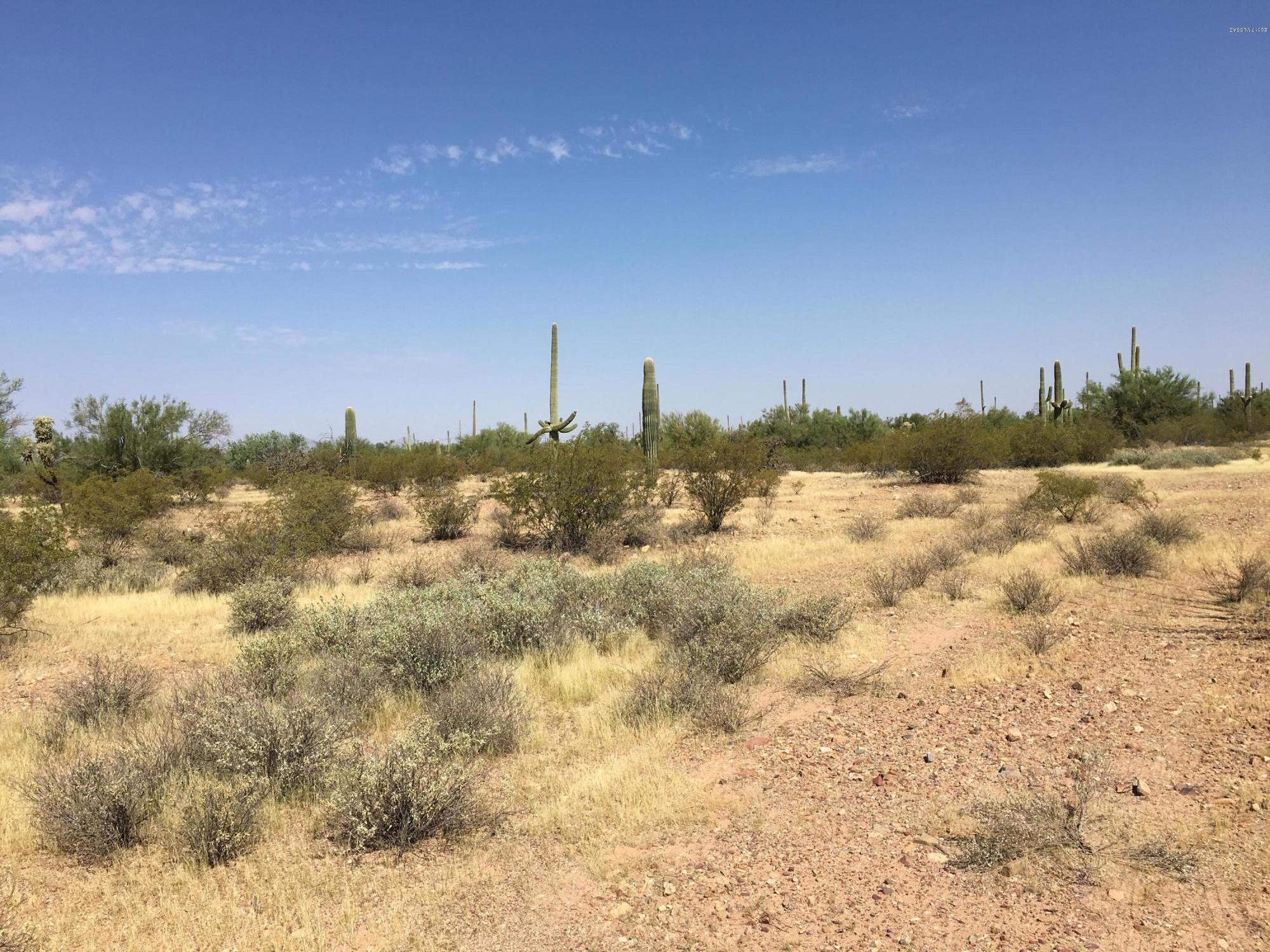 1650 North Sandario Road, Unit 3 Tucson, AZ 85743 - Photo 7 of 9