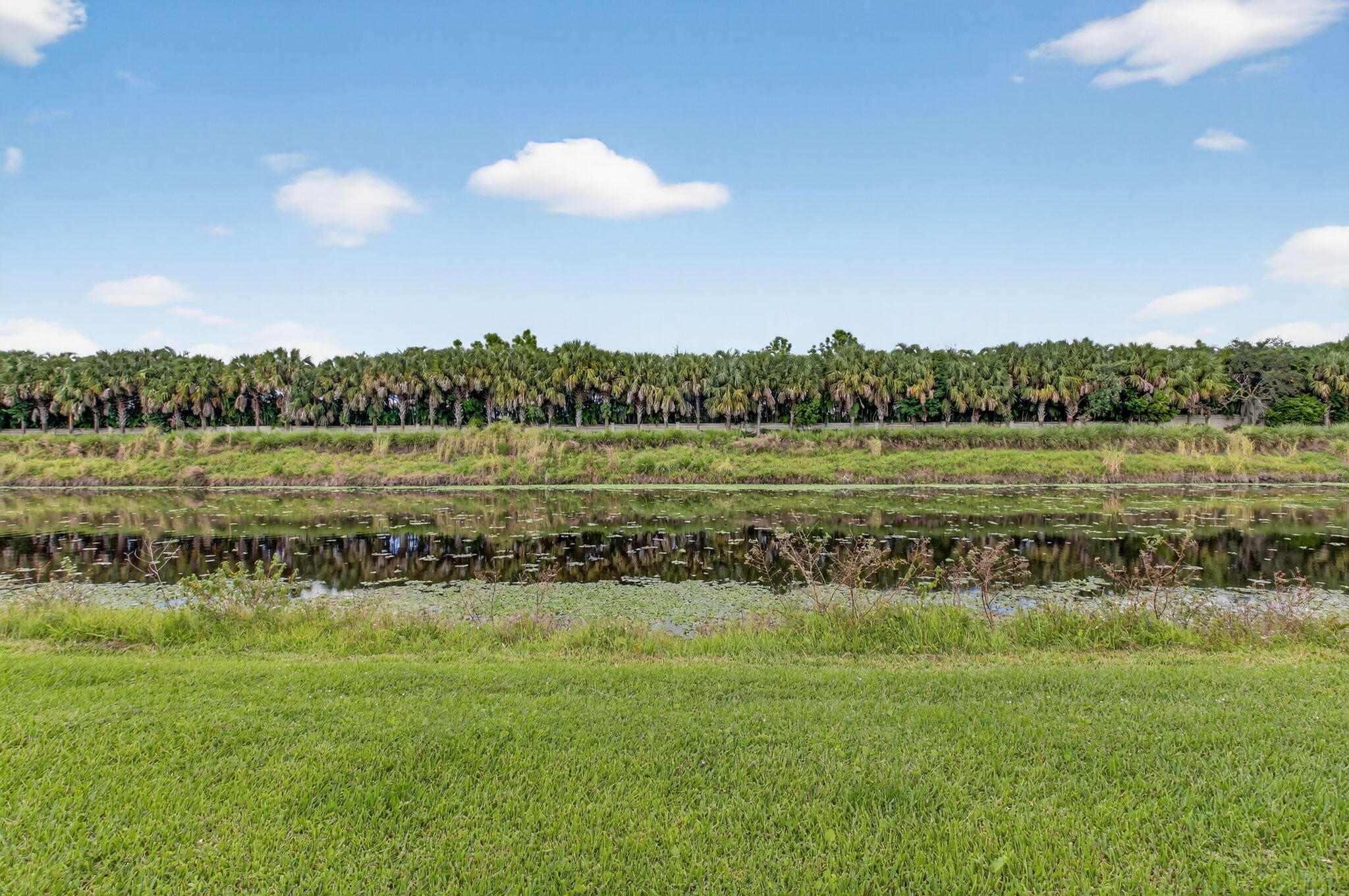 9083 Benedetta Place Boca Raton, FL 33496 - Photo 73 of 112 46-web-or-mls-DSC_6339