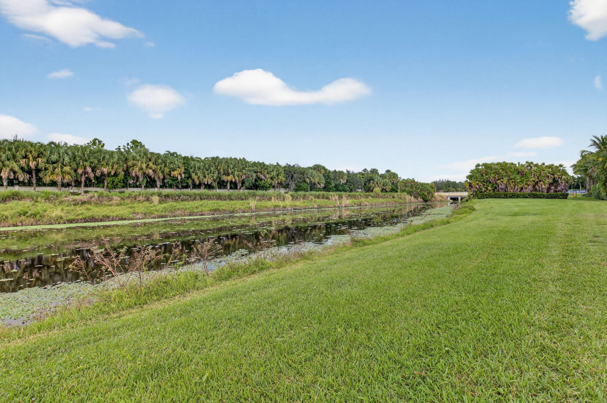 9083 Benedetta Place Boca Raton, FL 33496 - Photo 74 of 112 a view of a lake with a mountain in the background