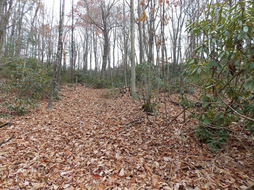 133 Newt's Hill Road Fancy Gap, VA 24328 - Photo 7 of 25 Gallery Image 7