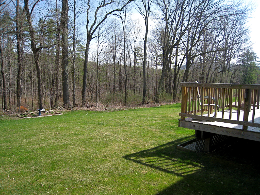 41 Fox Run Lee, MA 01238 - Photo 23 of 27 Backyard