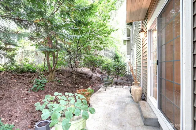 a view of a back yard of the house