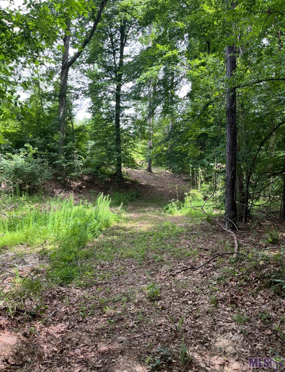 11255 Old Port Gibson Road Port Gibson, MS 39150 - Photo 20 of 32