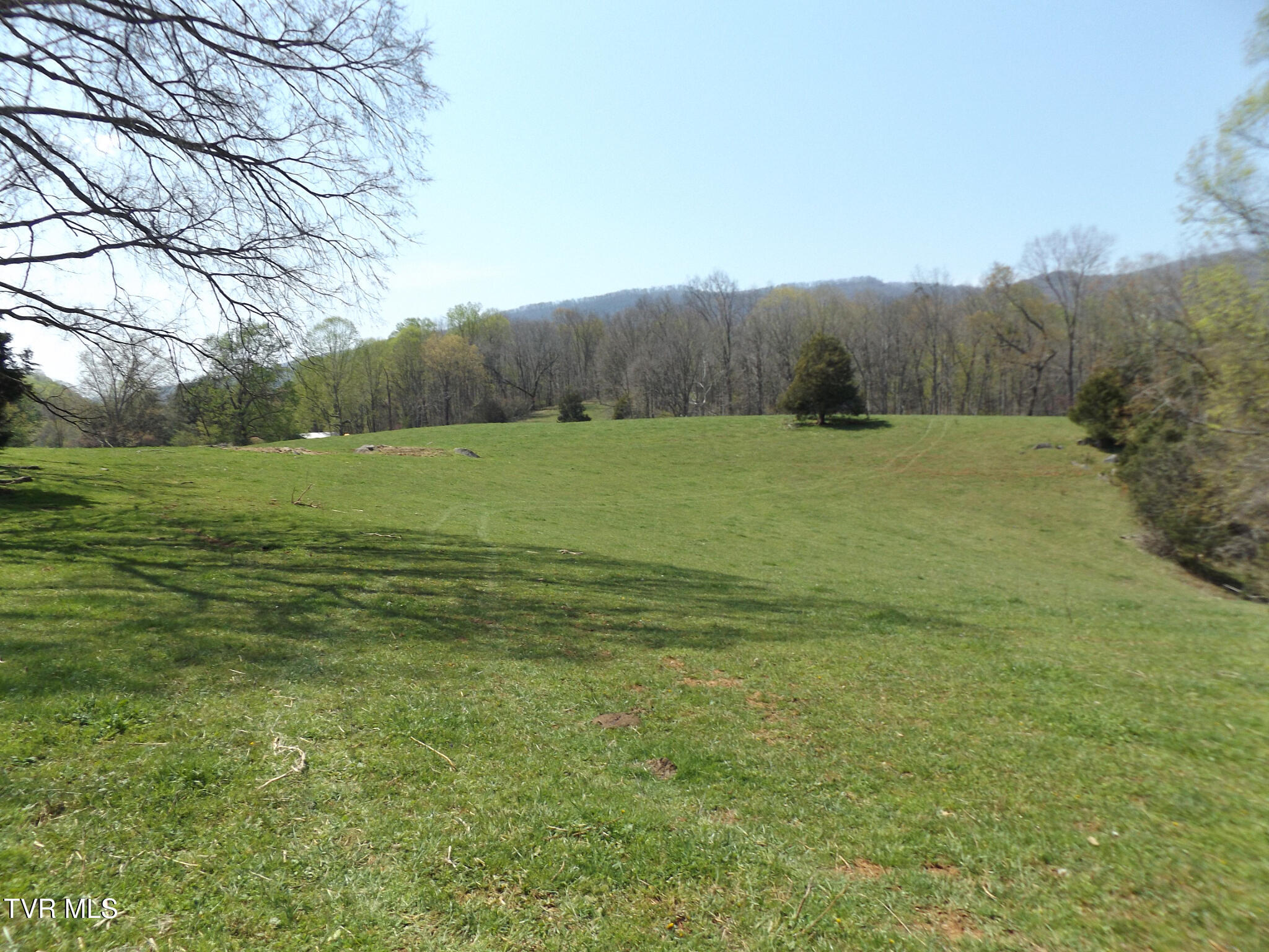 855 Willow Springs Road Elizabethton, TN 37643 - Photo 12 of 74 Willowtop55