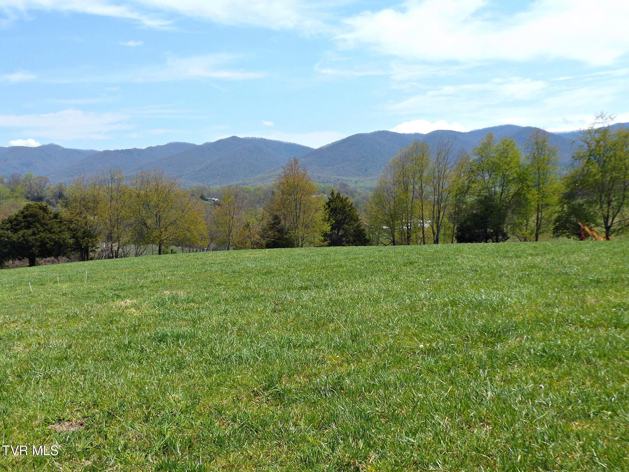 855 Willow Springs Road Elizabethton, TN 37643 - Photo 14 of 74 Willow19