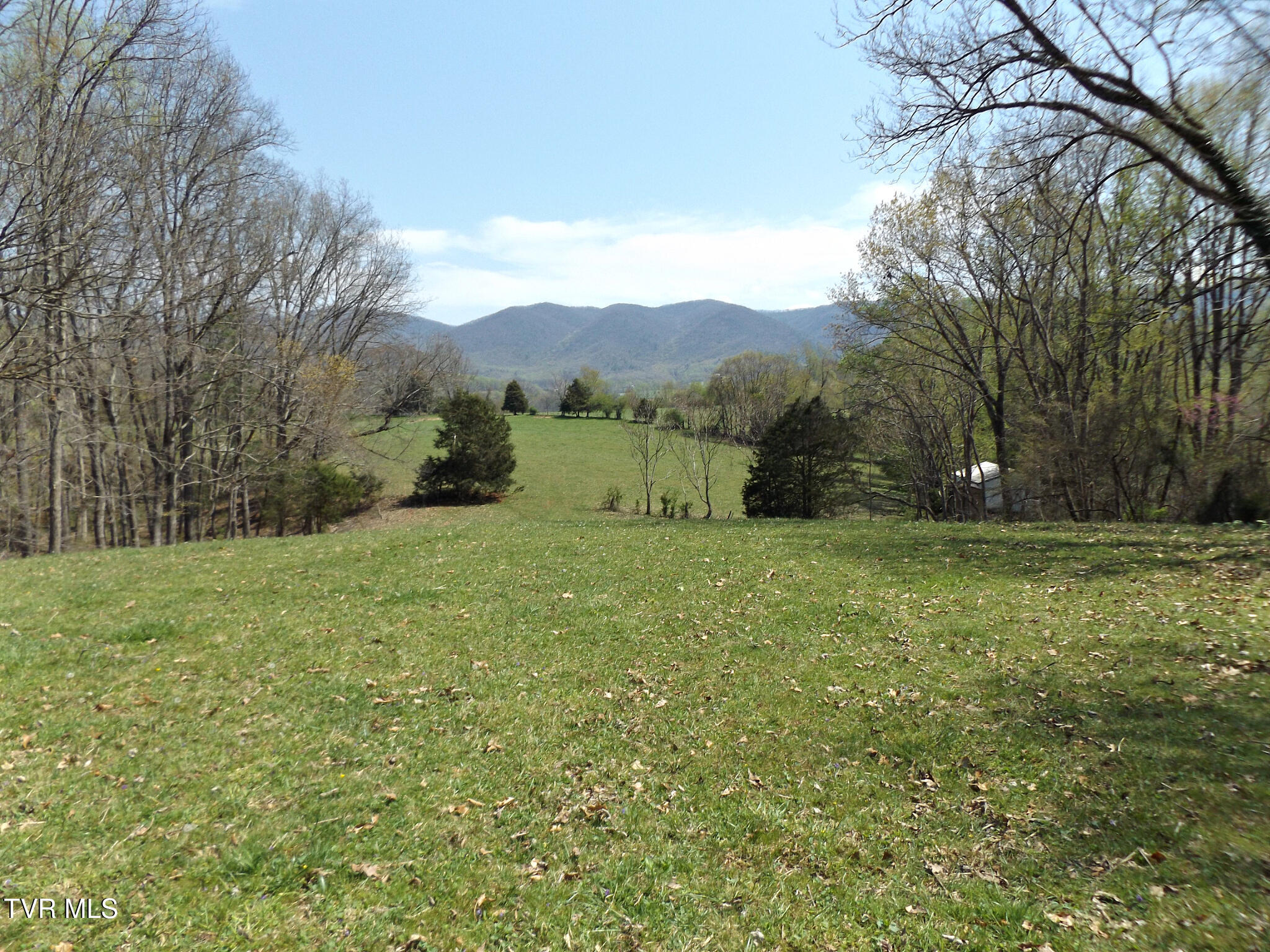 855 Willow Springs Road Elizabethton, TN 37643 - Photo 15 of 74 Willowtop48