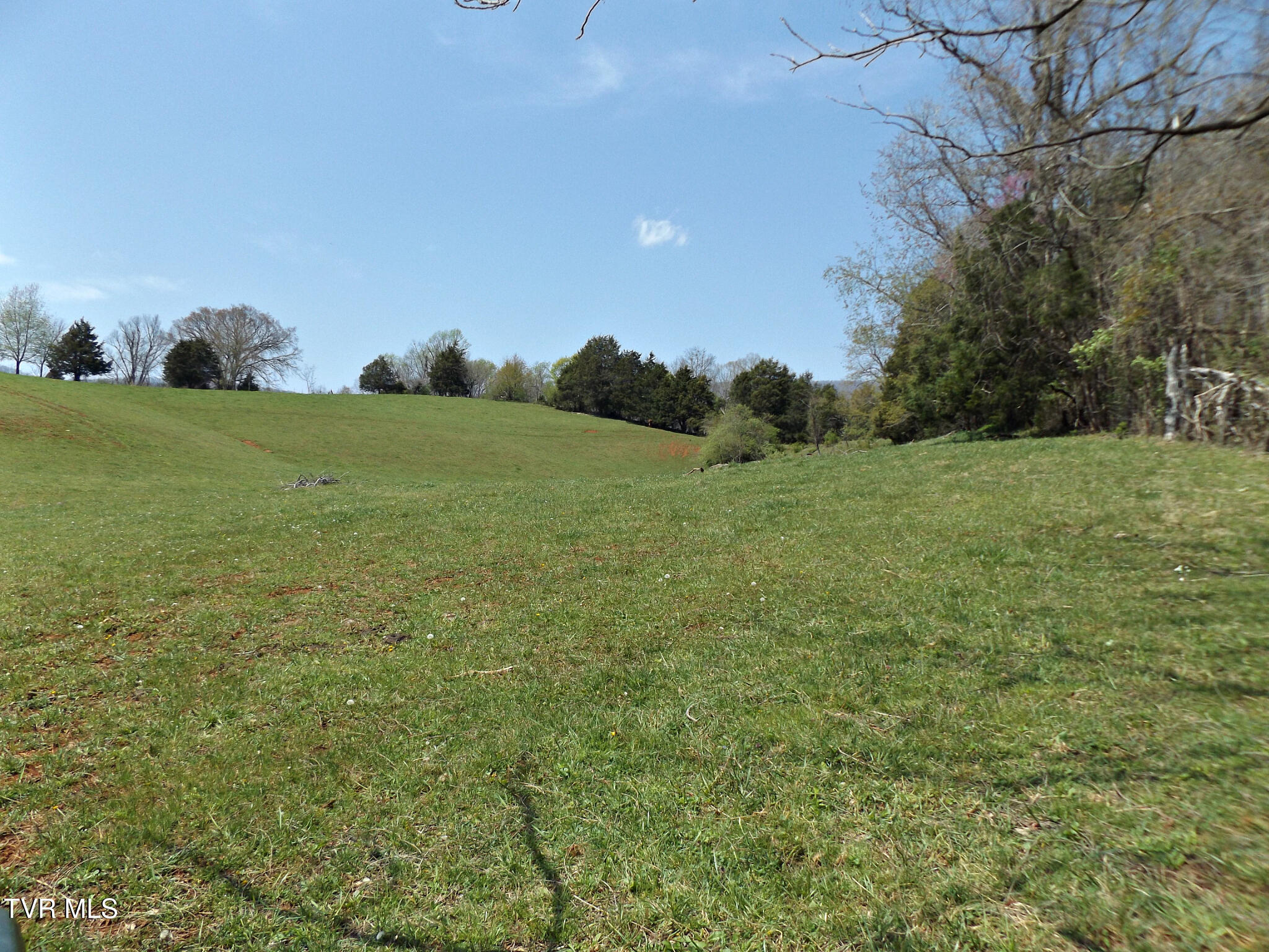 855 Willow Springs Road Elizabethton, TN 37643 - Photo 16 of 74 Willow22