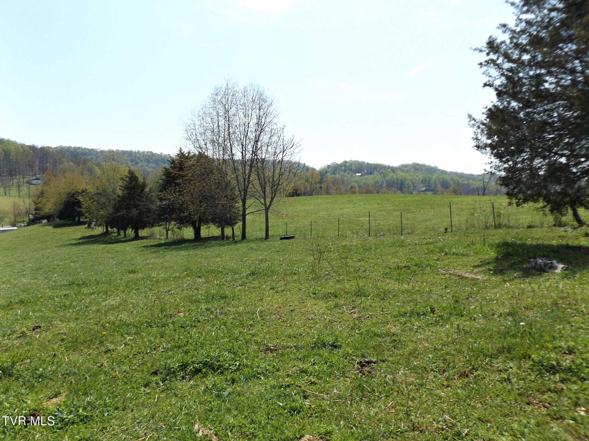 855 Willow Springs Road Elizabethton, TN 37643 - Photo 17 of 74 Willowsidepasture60